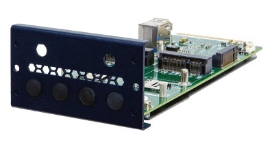 PulM-2P1M